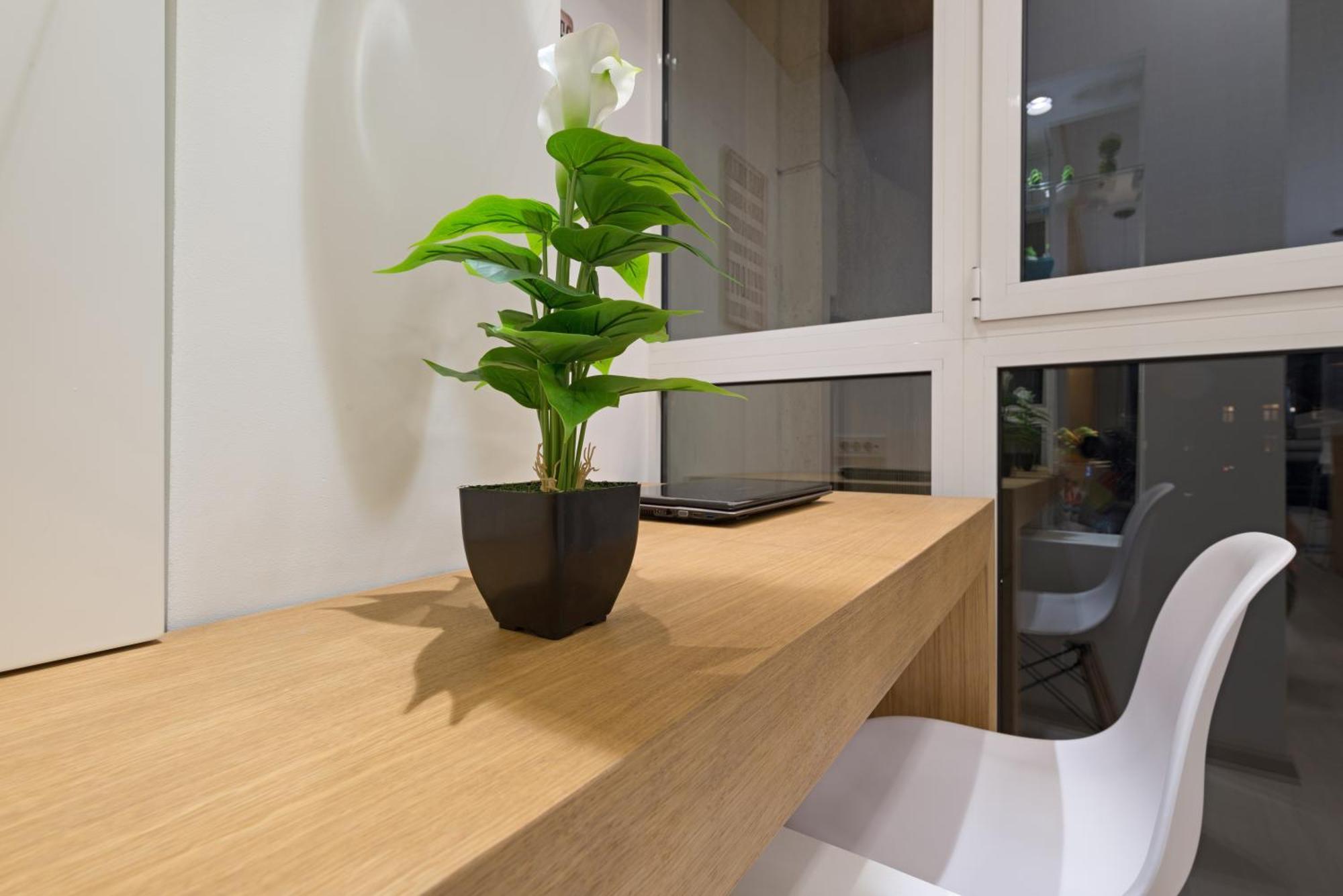 Vivio Luxury Apartment Beograd Eksteriør bilde